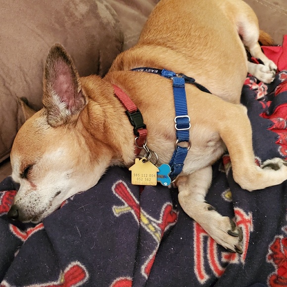 Profile Picture of Lucy Sandifer (@lsredbird47) on Poshmark