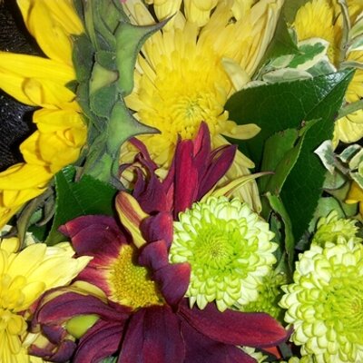 Profile Picture of Allison Keene (@zeebotak) on Twitter