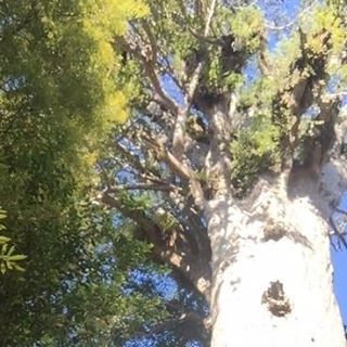 Profile Picture of Peter Hing (@peter.hing.50) on Facebook