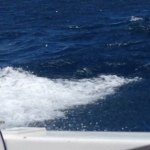 Profile Picture of Sherry Vann (@yaiyaione) on Instagram