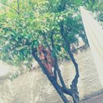 Profile Picture of Sandra Breuer (@xx_batgirl_xx_xx) on Instagram