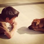 Profile Picture of david_uyemori (@david_uyemori) on Instagram