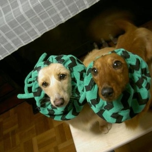 Profile Picture of 美華 筈尾 (@blanc_rouge) on Myspace