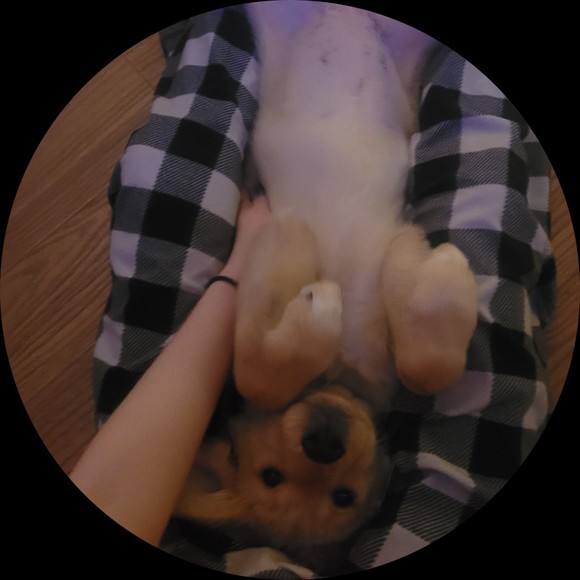 Profile Picture of Megan Erber (@merber2007) on Poshmark