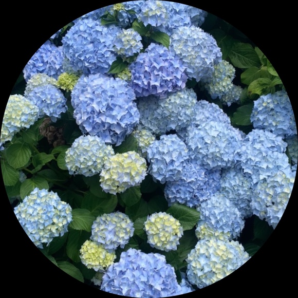 Profile Picture of Jenny Reschke (@jennyanne12) on Poshmark