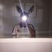 Profile Picture of Oskar Smogorzewski (@oskar.smogorzewski.77) on Facebook