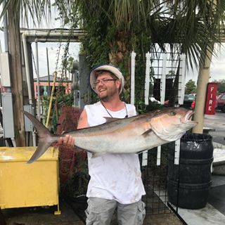 Profile Picture of David Hawk (@david.hawk.718) on Facebook