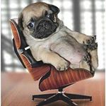 Profile Picture of edward (@sqiud1) on Instagram