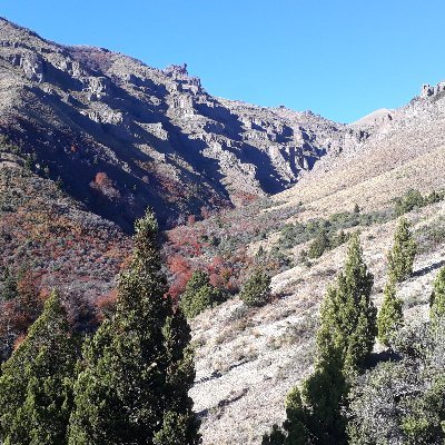 Profile Picture of Fernando Casares (@Fernandocasar19) on Twitter