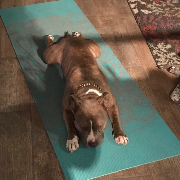 Profile Picture of Josh Dahl (@jdahla1012) on Poshmark