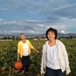 Profile Picture of Pam Larsen (@pamela.larsen57) on Instagram