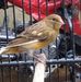 Profile Picture of Bagio (@bagio.bagio.50951101) on Facebook