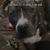 Profile Picture of John Decarlo (@john.decarlo.547) on Facebook