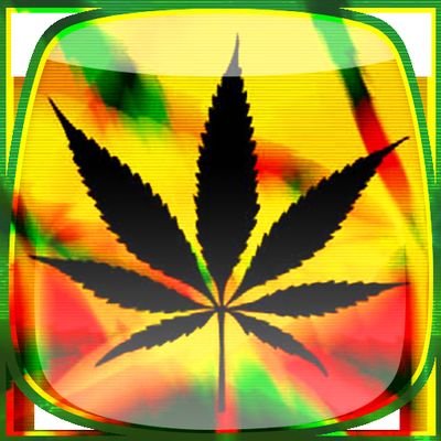 Profile Picture of Lil Siyyts (@MattBerner9) on Twitter