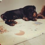 Profile Picture of jan twardowski (@twardowski41) on Instagram