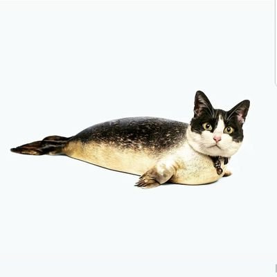 Maurice David Paduch - Twitter Profile Picture of Maurice David Paduch (@PaduchDavid) on Twitter