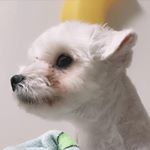 Profile Picture of ✨상남자 김구름✨ (@_kim_cloud) on Instagram