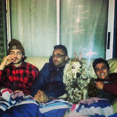Profile Picture of Matt Dodds (@mattdoddsUK) on Twitter