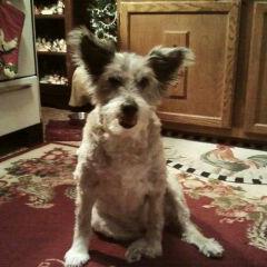 Profile Picture of Paula Bauer (@BauerPbauer0246) on Twitter