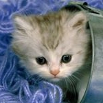 Profile Picture of Gisela Paz (@gisela_pazx22) on Instagram