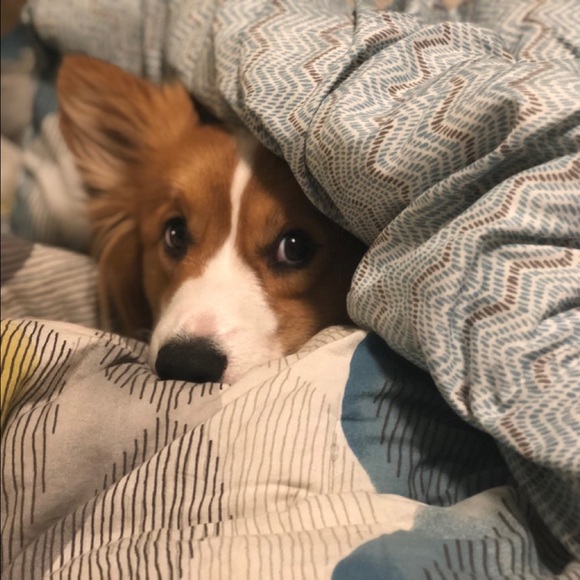 Profile Picture of Cheryl Dailey (@cheryl_dailey) on Poshmark