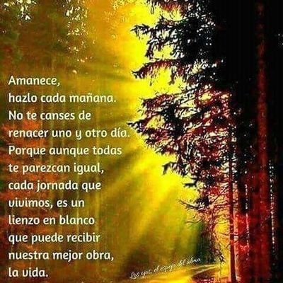 María Violeta Mena Herrera - Twitter Profile Picture of María Violeta Mena Herrera (@MaraVioletaMen1) on Twitter