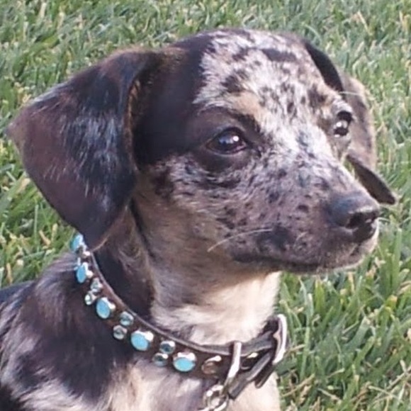 Profile Picture of Ruth Adams (@gertie76) on Poshmark