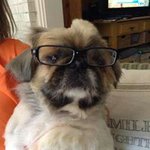 Michael Haverly - Instagram Profile Picture of Michael Haverly (@michaelhaverly) on Instagram