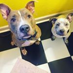 Profile Picture of Nove Jane & Jacob Finnegan (@novajane_jacobfinnegan) on Instagram