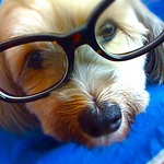 Profile Picture of Koji Kumamoto (@koji kumamoto) on Flickr