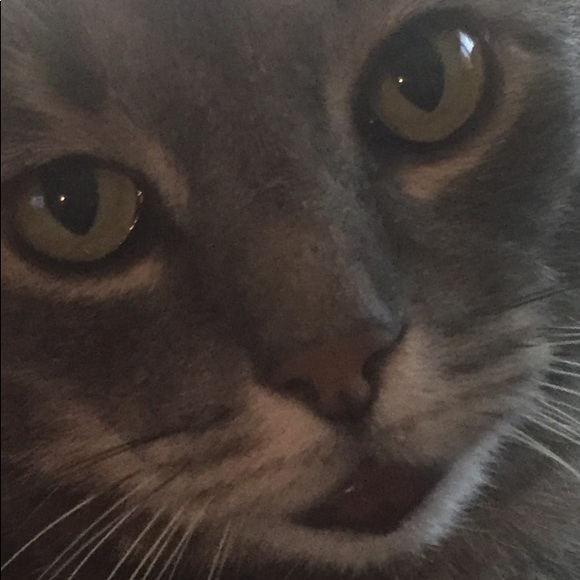 Profile Picture of Carrie Bigness (@carriebigness) on Poshmark