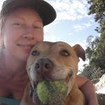 Profile Picture of Cindy M Scheall (@cinderbella111) on Instagram