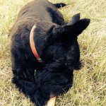 Profile Picture of James Sandon (@jamessandon) on Instagram