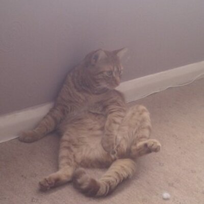 Profile Picture of James Masson (@jamesmasson1986) on Twitter