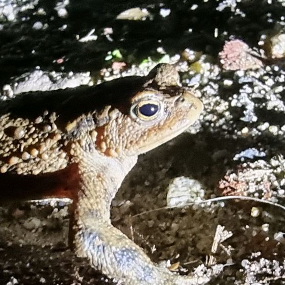 richard.heinrichs - Tiktok Profile Picture of richard.heinrichs (@richard.heinrichs) on Tiktok