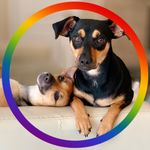 Profile Picture of John Duckworth (@amsterdam_duck) on Instagram