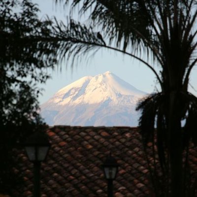 Profile Picture of Erick Carrera (@egcarrera) on Twitter