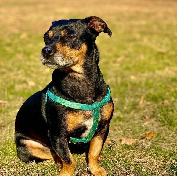 Profile Picture of Karla Klein bonne (@jbonne7) on Poshmark