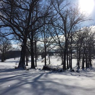 Mariann Carter Campbell - Facebook Profile Picture of Mariann Carter Campbell (@mariann.campbell) on Facebook