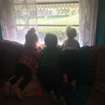 Stephanie Listrom - Instagram Profile Picture of Stephanie Listrom (@stephanie_listrom) on Instagram