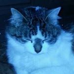 Profile Picture of Duane Barry (@linuxbeastmaster) on Instagram