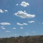 Shawn Fagan - Instagram Profile Picture of Shawn Fagan (@fagan_shawn) on Instagram