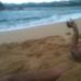 Profile Picture of Daniel Guirao (@daniel.guirao.12) on Facebook