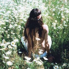 Profile Picture of Debbie Campbell (@cannon66) on Pinterest