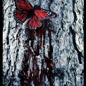 Profile Picture of Rocio Ayllon (@roxytsn) on Myspace