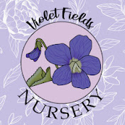 Profile Picture of Violet Fields Nursery (@violetfieldsnursery6096) on Youtube
