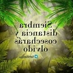 beverly - Instagram Profile Picture of beverly (@beverly90antunez) on Instagram