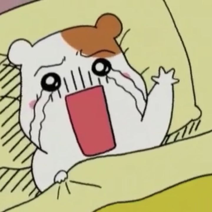 Profile Picture of お腹すく (@elaindayo) on Tiktok