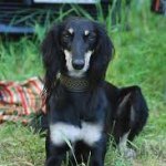 Profile Picture of Nathaniel Jensen (@09651) on Instagram