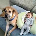 Profile Picture of Brian Pierron (@pierron1082) on Instagram